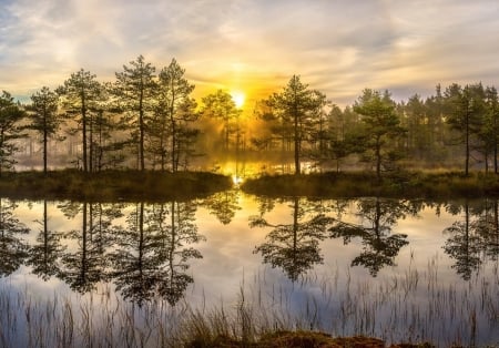 Amazing Sunset - lake, tree, sunset, sun