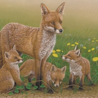 Fox Family