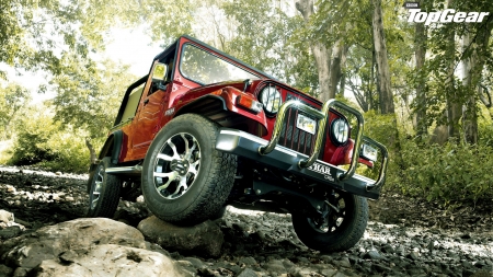 jeep thar - rock, forest, jeep, tree, thar