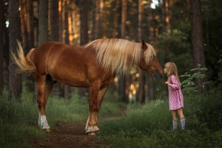 Little Girl - pathway, girl, horse, forest