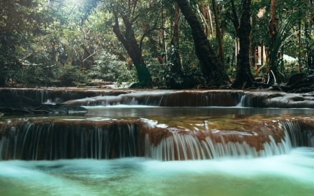 Tropical River - waterfalls, forest, nature, river