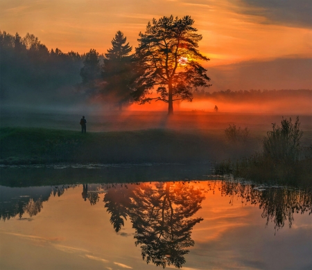 Amazing sunset - cloud, sea, trees, sunset