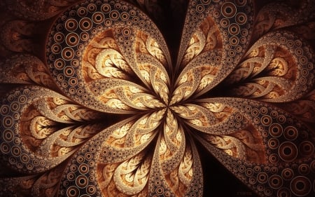 Abstract - flower, brown, texture, abstract