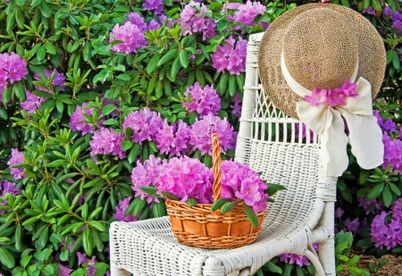 Still Life - chair, hat, blossoms, flowers, basket, garden, spring