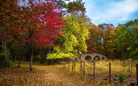 Autumn Trees - path, colors, fence, sky, bridge, leaves