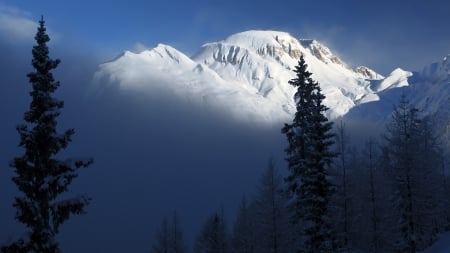 Snowy Peaks Above Fog - morning, sky, trees, mountains, peaks, mist, bright, evening, snow, fog, firefox theme