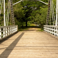 Bridge At Youngs Point