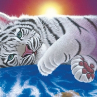 The White Tiger