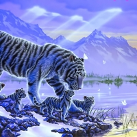 Tiger Trip