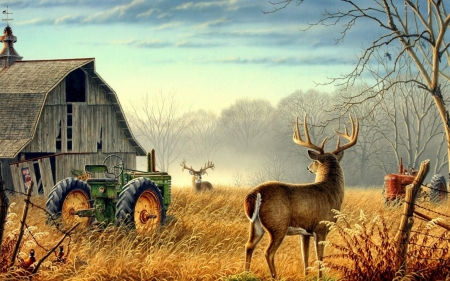 Deers - cerb, farm, autumn, deer, painting, horn, art, pictura, animal, barn