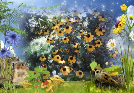 welcome september - nature, seasons, flowers, happy