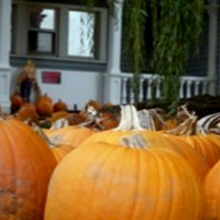 Pumpkins