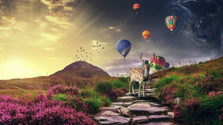 :-) - summer, flower, pink, mirolim mirsolixov, hot air balloon, deer, fantasy, luminos, vara