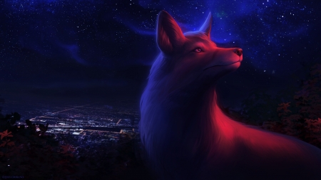 Fox - red, ciorano, night, fox, blue, fantasy, city, vulpe, luminos