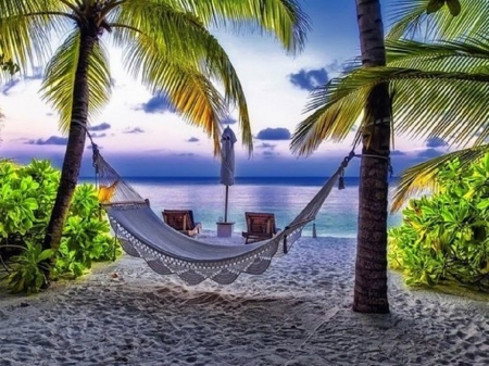 hammock on the beach