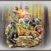 JUNGLE ANIMALS