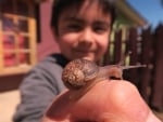 Boy and Snail