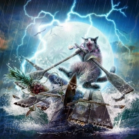 Cat away