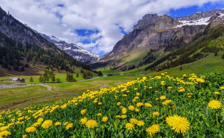 Mountainscape - view, sky, mountain, beautiful, meadow, wildflowers