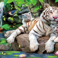 White Tiger Family