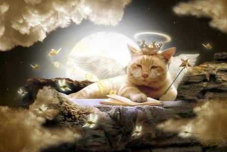 :-) - moon, book, mr ripley, angel, cat, fantasy, paw, wings, butterfly, pisici, luna