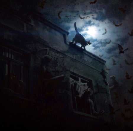 Cat on a haunted roof - moon, ghost, mr ripley, cat, black, fantasy, roof, pisici, halloween, luminos, luna