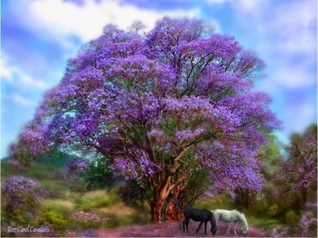 Horses Under Purple Tree - clouds, trees, horses, sky