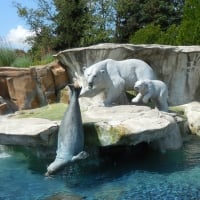 Polar Bear & Seal Fountain