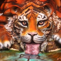 Tiger Cake