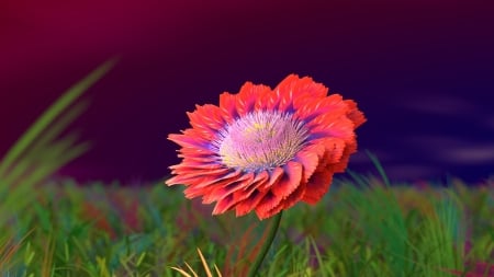 Flower - close up, flower, background, petals