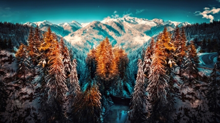 Winter - Mountain, Forest, Winter, Nature