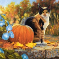 Cat and Pumpkin