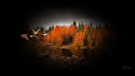 Magestic Autumn Orange - trees, Firefox theme, pond, collage, fall, autumn, bright, lake, ducks