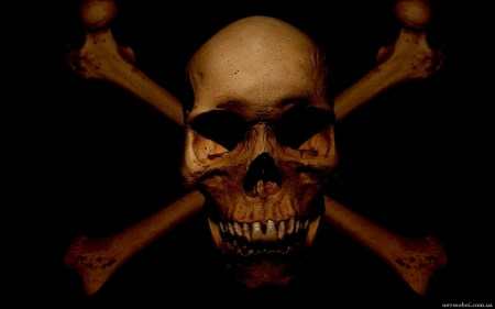 The skull and bones - skull, bones, scary, gothic