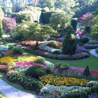 Butchart Gardens flower garden