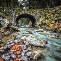 Rocky Stream in the Forest