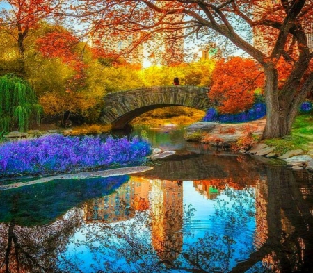 The Bridge - autumn, person, tree, flowers, bridge