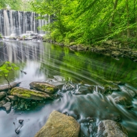 Forest waterfall