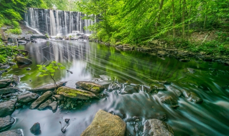 Forest waterfall - stone, trees, waterfall, summer, beautiful, creek, stream, forest