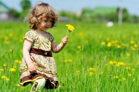 Little Girl - girl, walk, summer, field, flowers