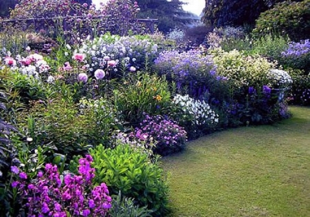 beautiful flower garden