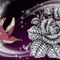 Jewels of Nature