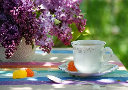 Still Life - lilacs, blossoms, cup, spring