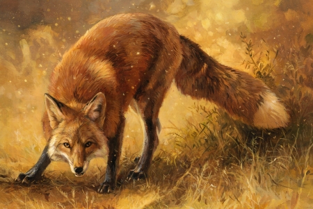 Incandescent - vulpe, fantasy, animal, kenket, fox, art, luminos