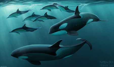 Familiar strangers - ocean, vara, whale, water, summer, fantasy, namu the orca, art, blue, luminos, sea