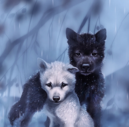 Night brother - winter, cub, blue, wolf, night, black, fantasy, tamberella, white, iarna, couple, day, art, luminos