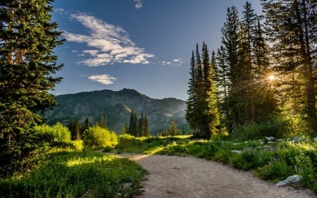 Landscape with Road - road, trees, mountains, sunbeams