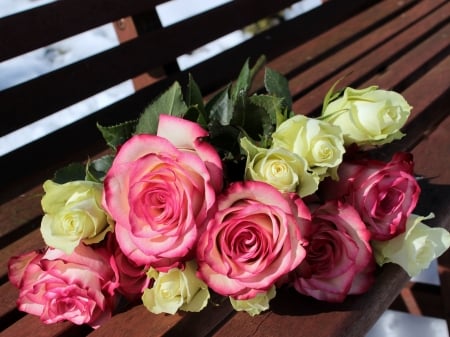 Lovely flowers in the bench - bench, Pink, yellow, autumn