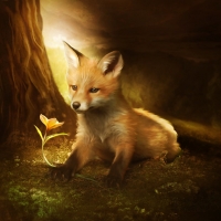 The little fox and the flower