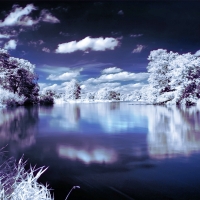 Winter Lake